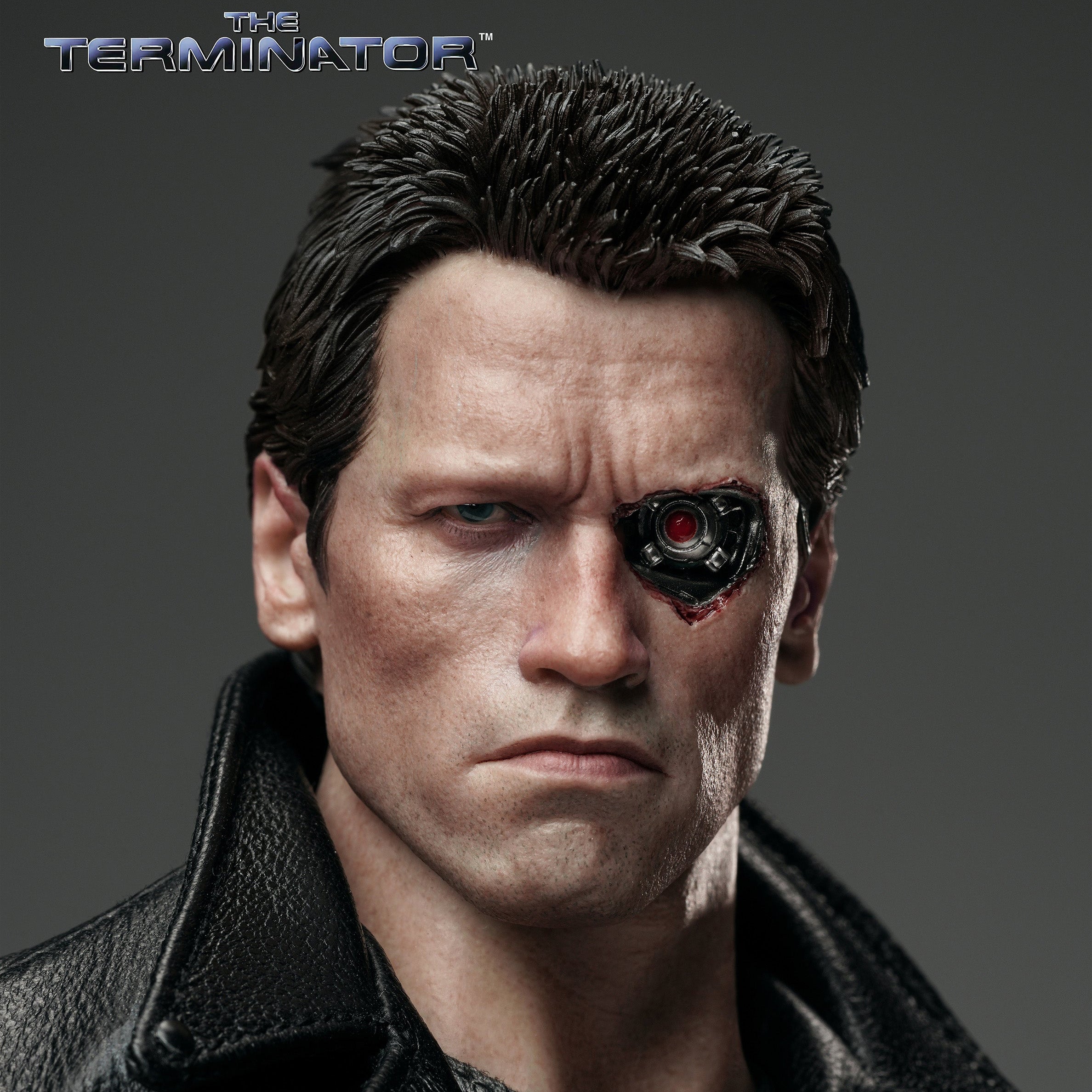 The Terminator: T-800 1/6 Collectible Figure by INART