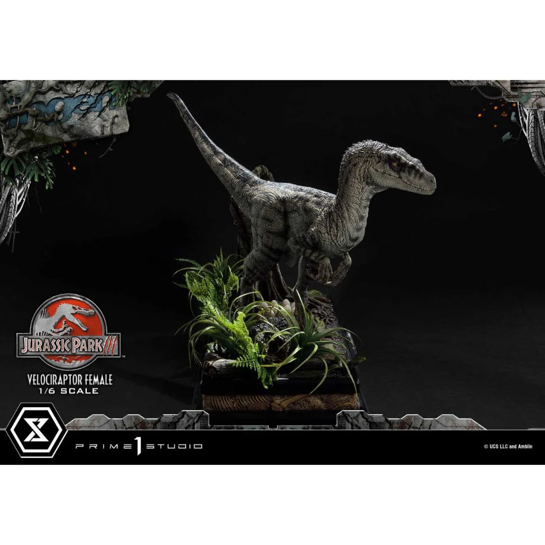 Prime 1 Studio Jurassic Park III (Film) Velociraptor Female Bonus Version Statue