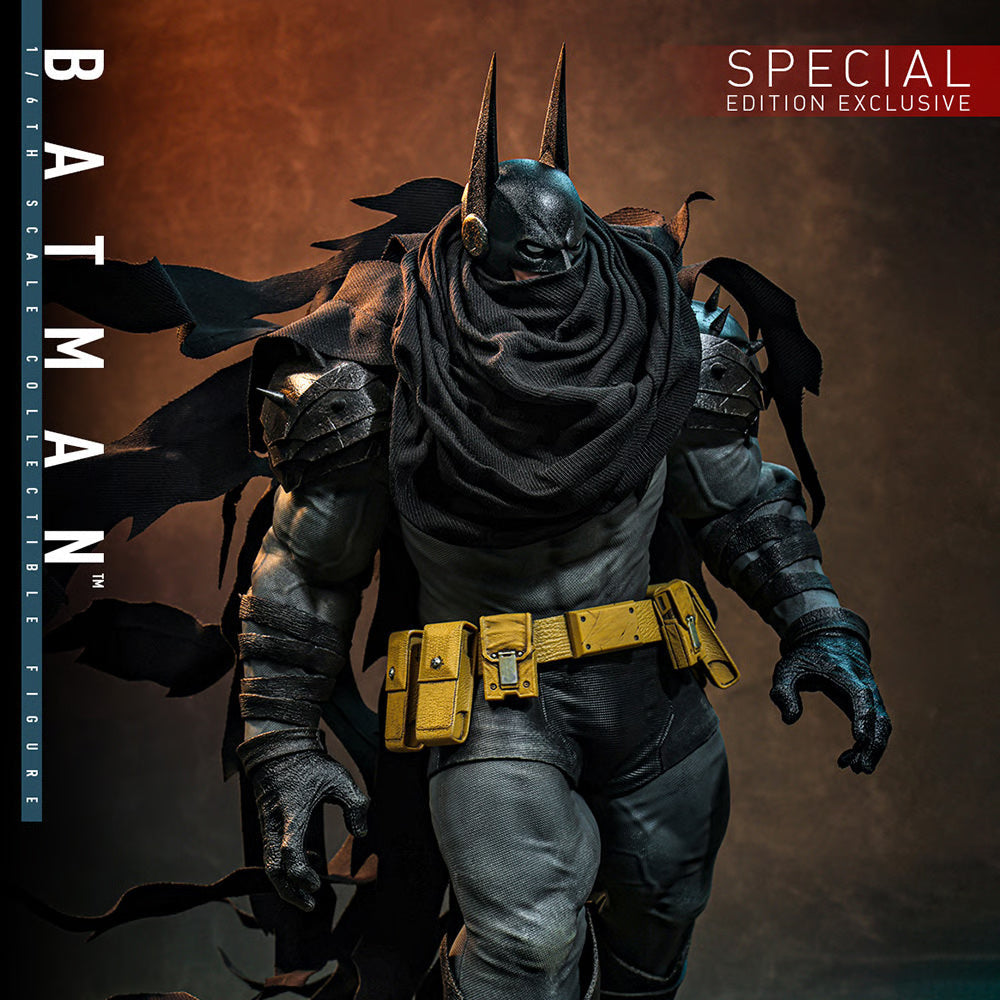 Absolute Batman 1/6 Figure Special Edition by Hot Toys