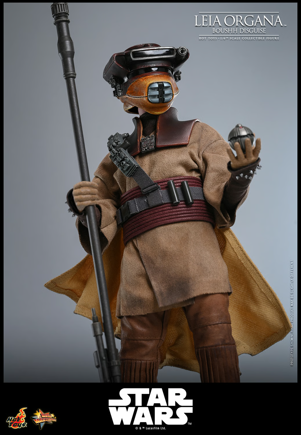 Leia Organa (Boushh Disguise) Sixth Scale Figure by Hot Toys