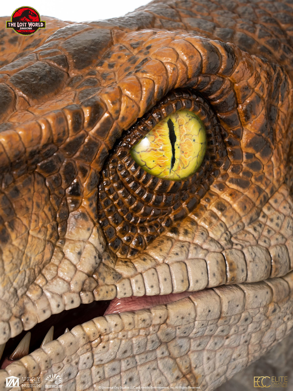JP2 Male Velociraptor Bust By ECC