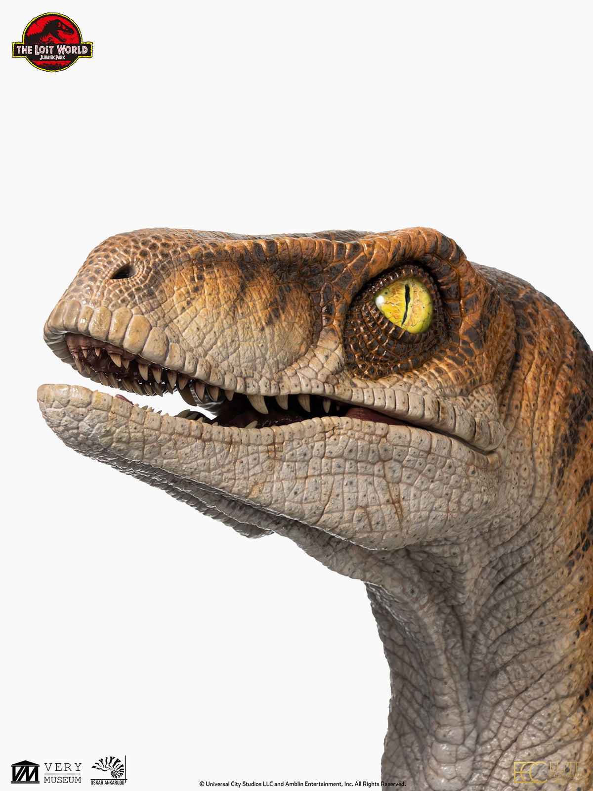 JP2 Male Velociraptor Bust By ECC