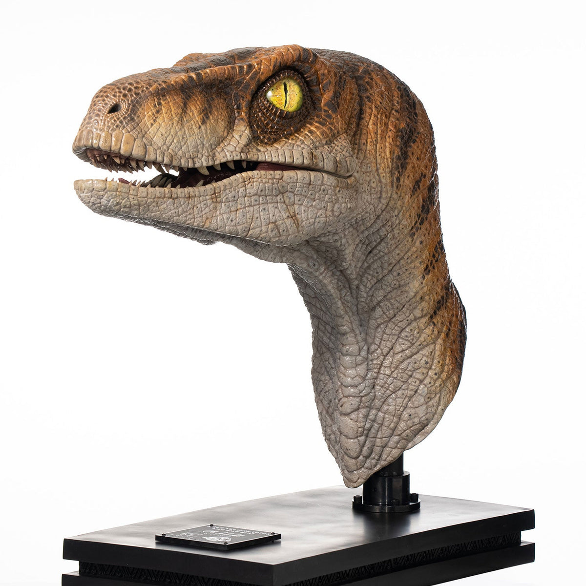 JP2 Male Velociraptor Bust By ECC