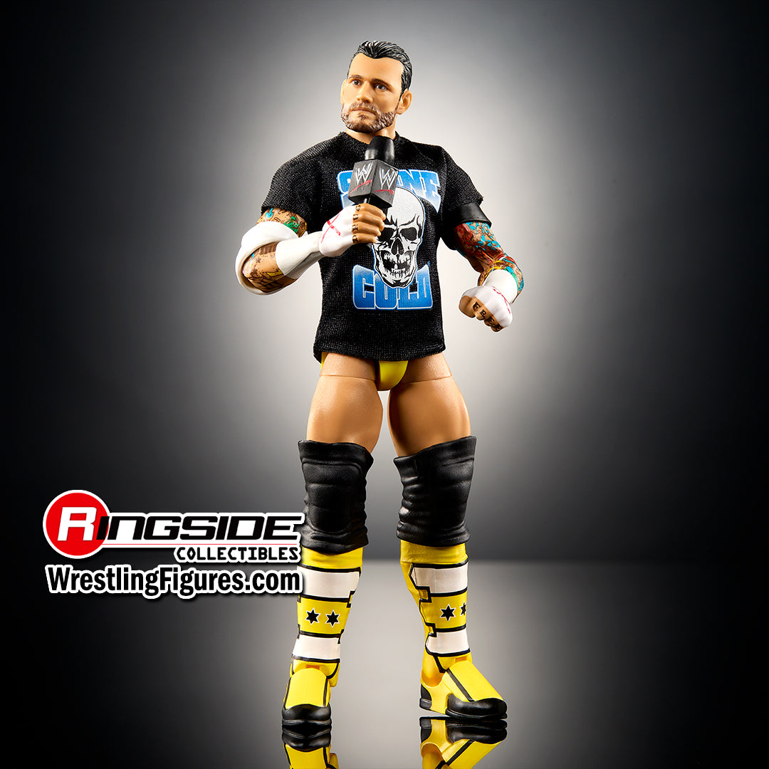 WWE (Pipe Bomb cm Punk) from The Vault Ringside Exclusive Action Figure