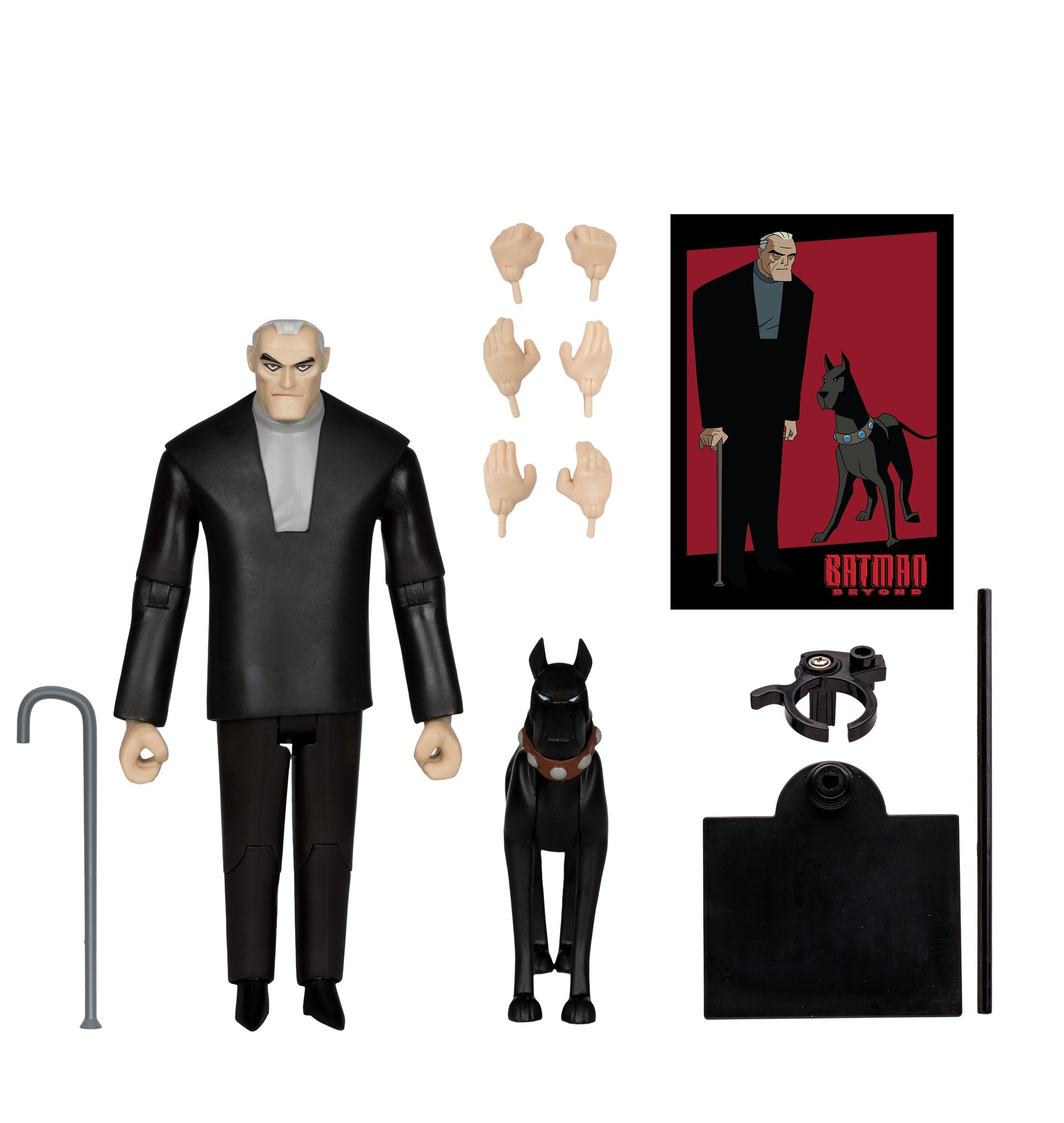 DC Direct: Bruce Wayne & Ace (Batman Beyond) Gold Label