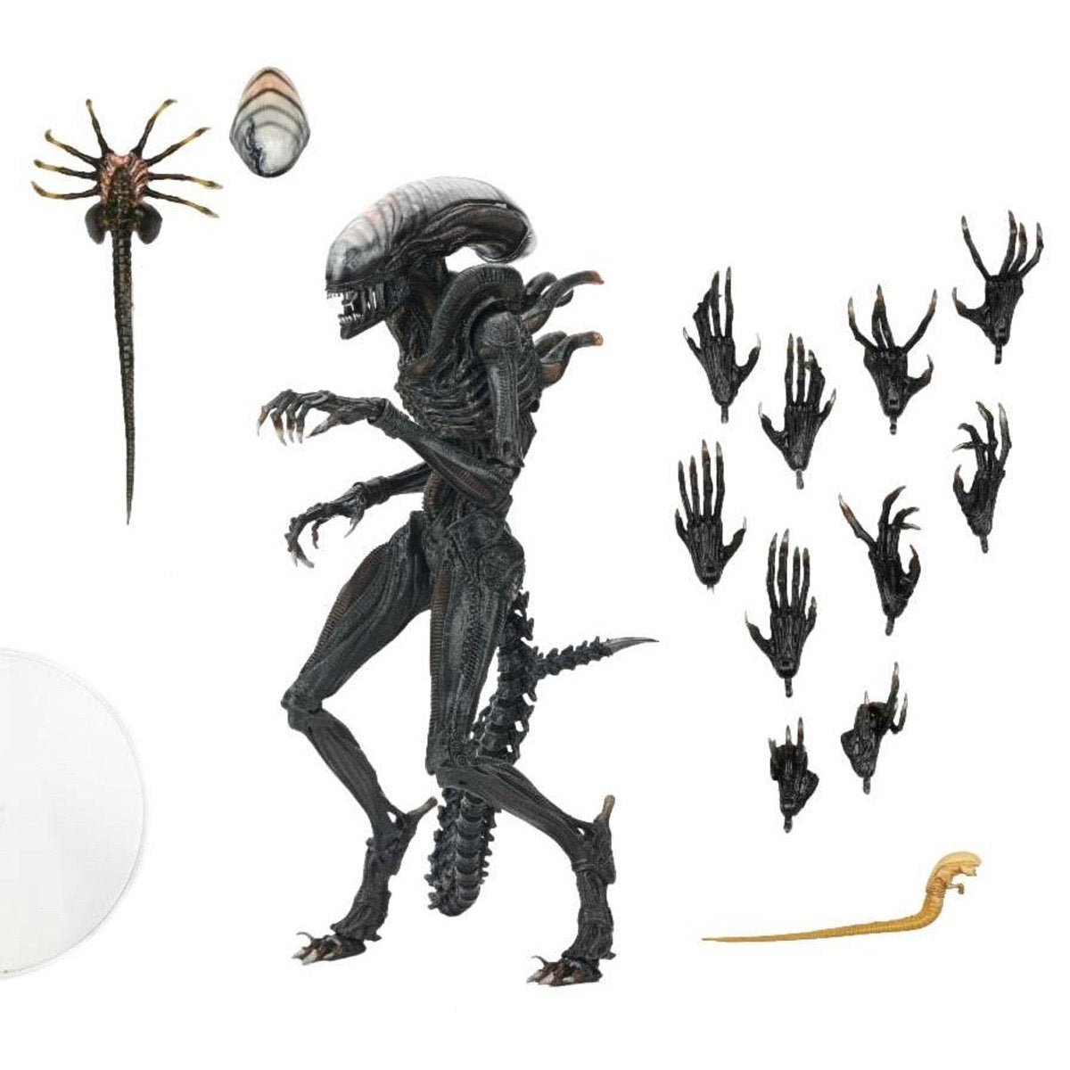 Alien: Romulus Ultimate Scorched Xenomorph 7-Inch Scale Action Figure