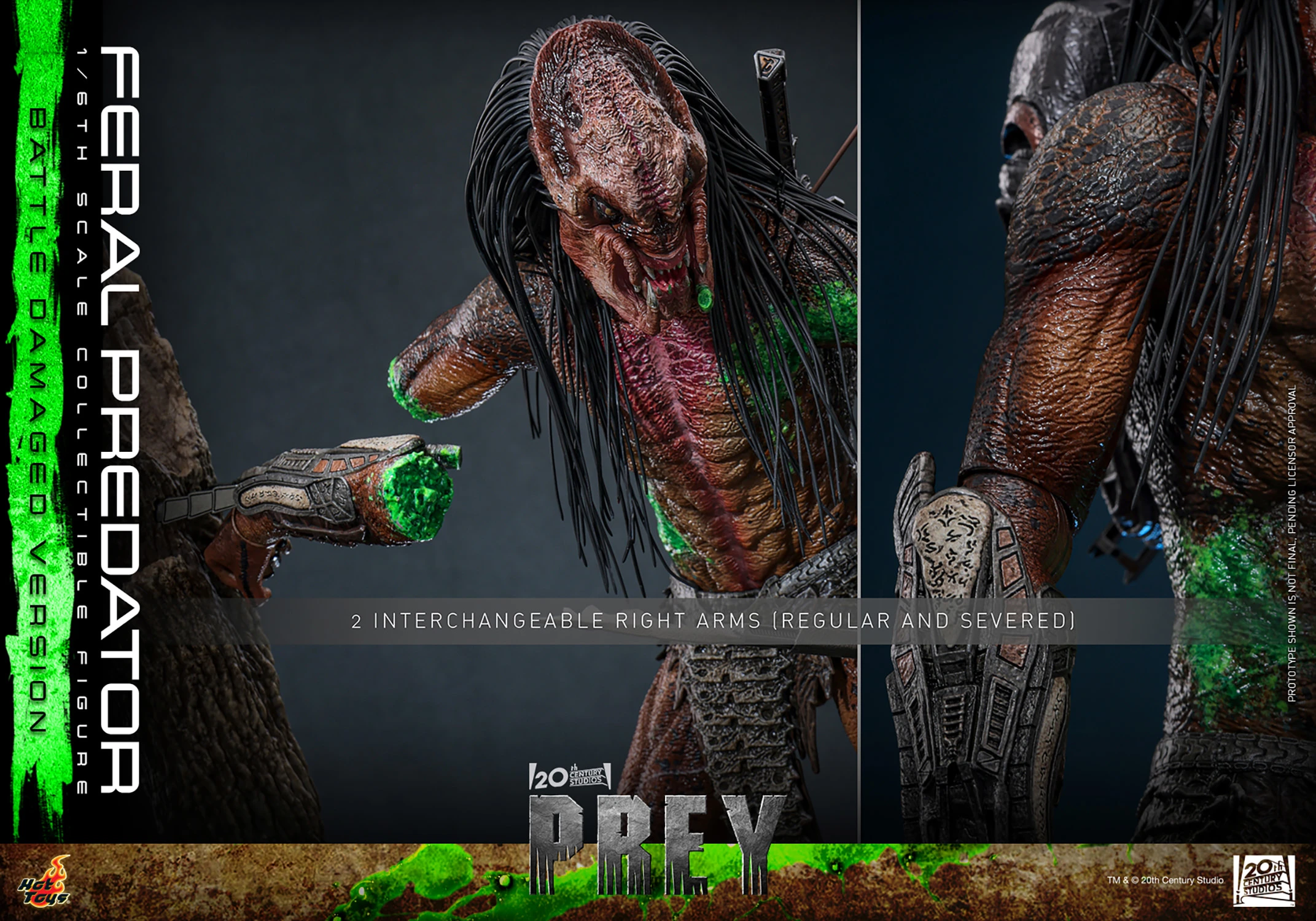 Feral Predator (Battle Damaged Version) Sixth Scale Figure by Hot Toys