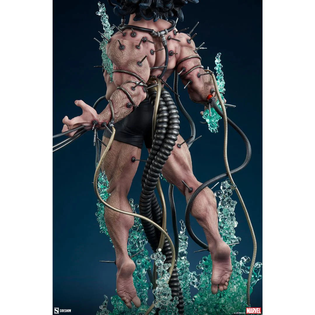 Wolverine Weapon X Premium Format by Sideshow Collectibles