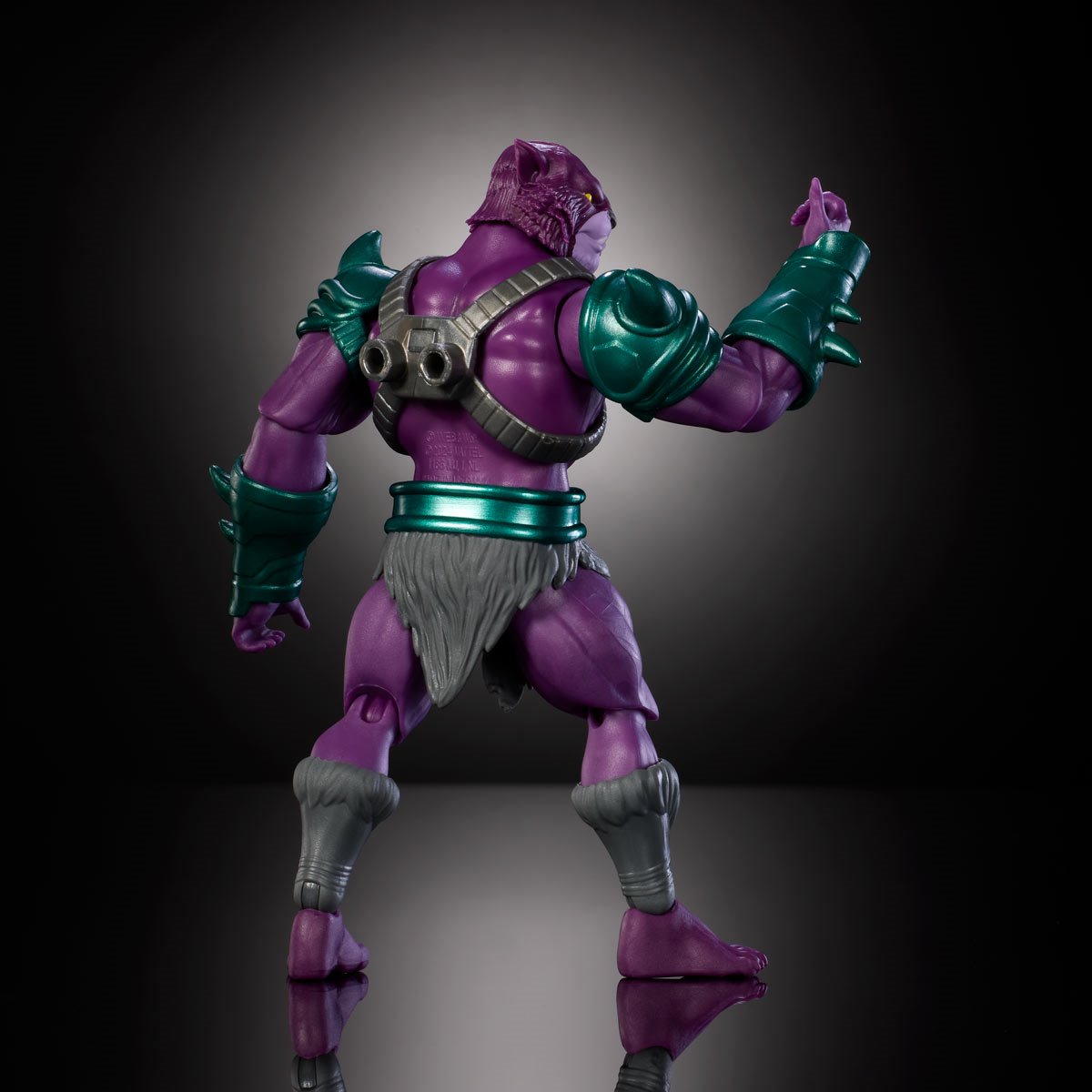 Masters of Universe Origins and ThunderCats Panthor Man Action Figure