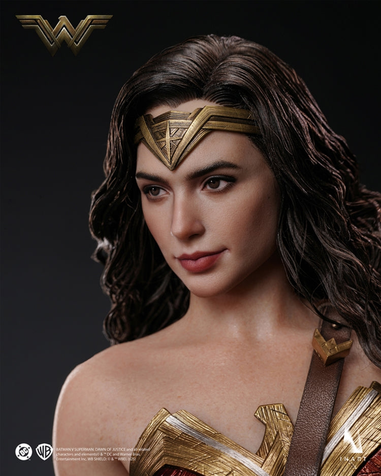 Batman v Superman: Dawn of Justice Wonder Woman 1/6 Collectible Figure By Inart