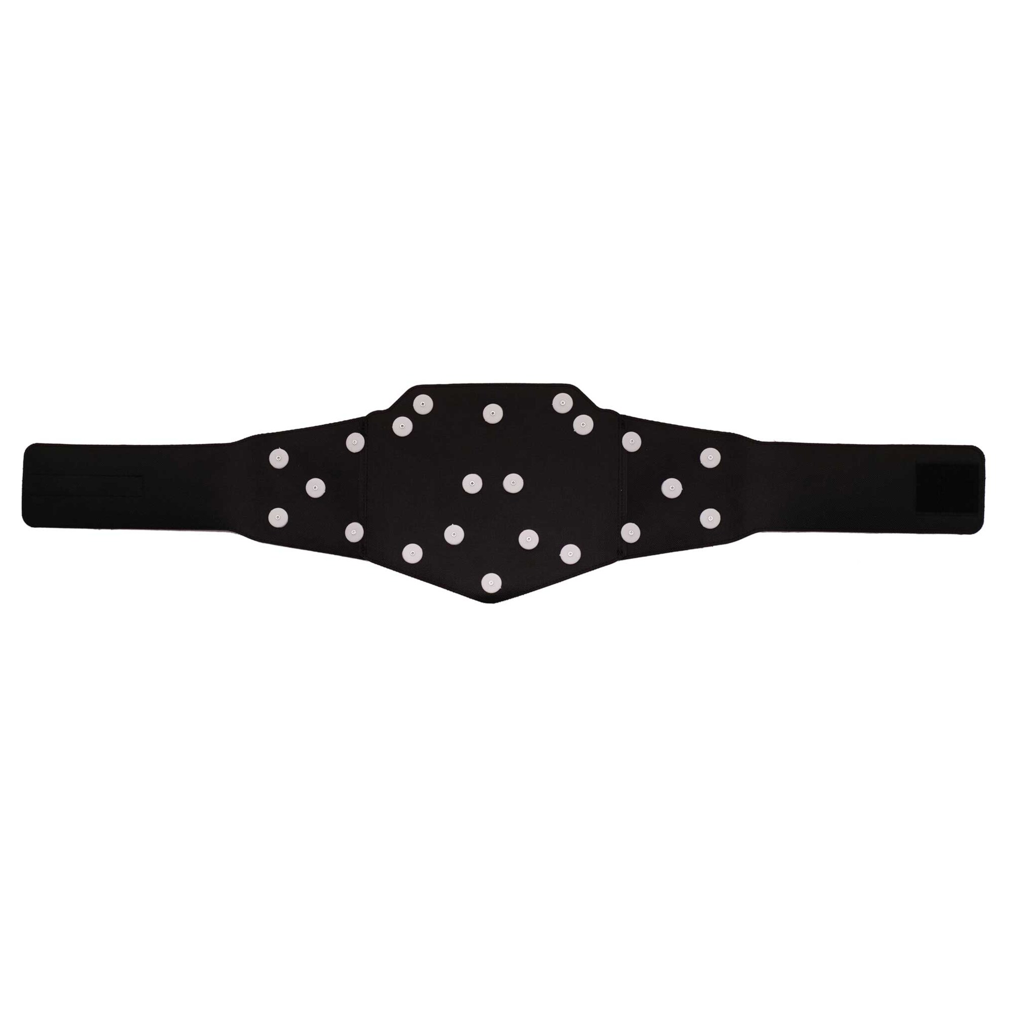 Undisputed WWE Universal Championship Belt