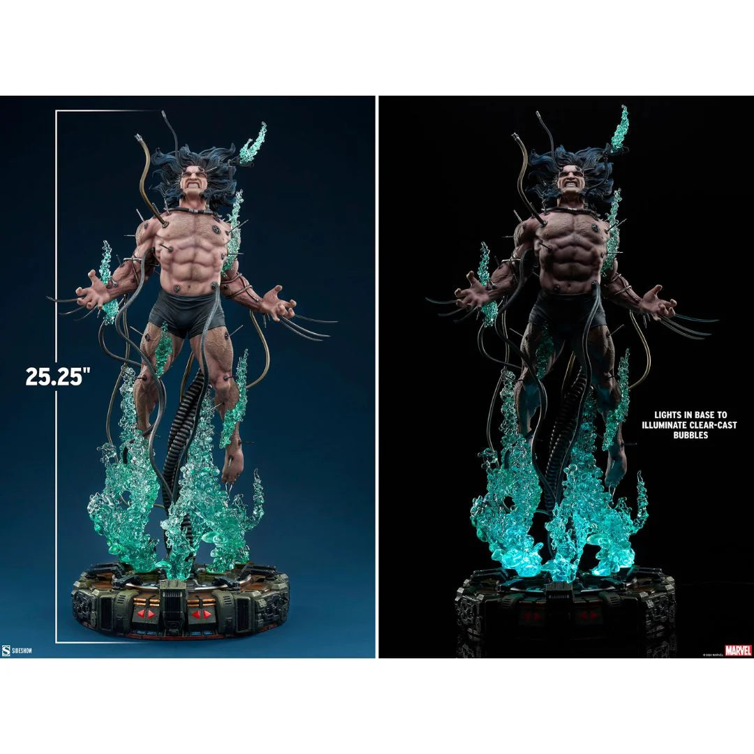 Wolverine Weapon X Premium Format by Sideshow Collectibles