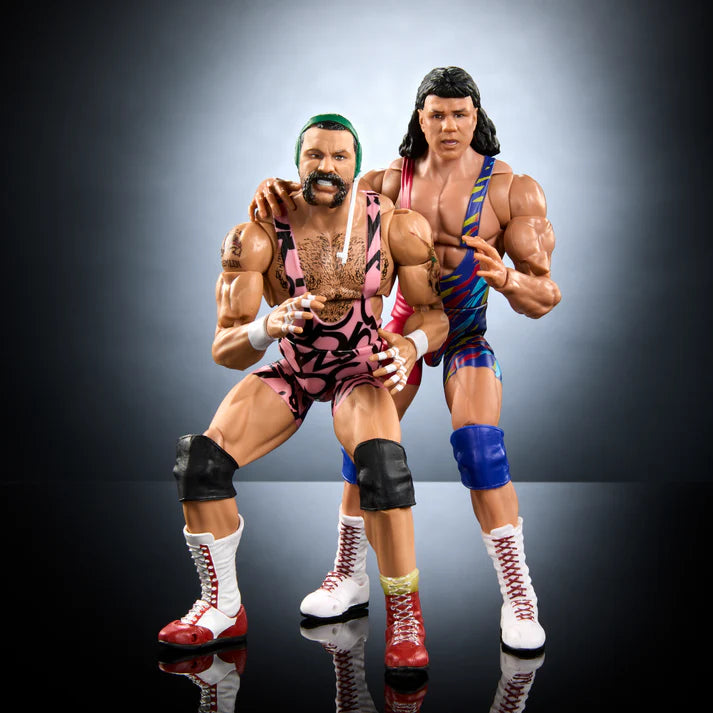 Scott Steiner and Rick Steiner WWE Ultimate Edition Exclusive