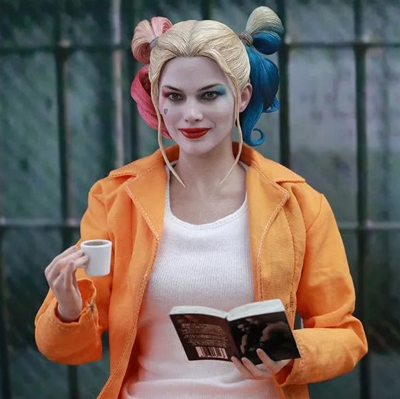 Harley Quinn Prisoner Version Sixth Scale Figure By Hot Toys