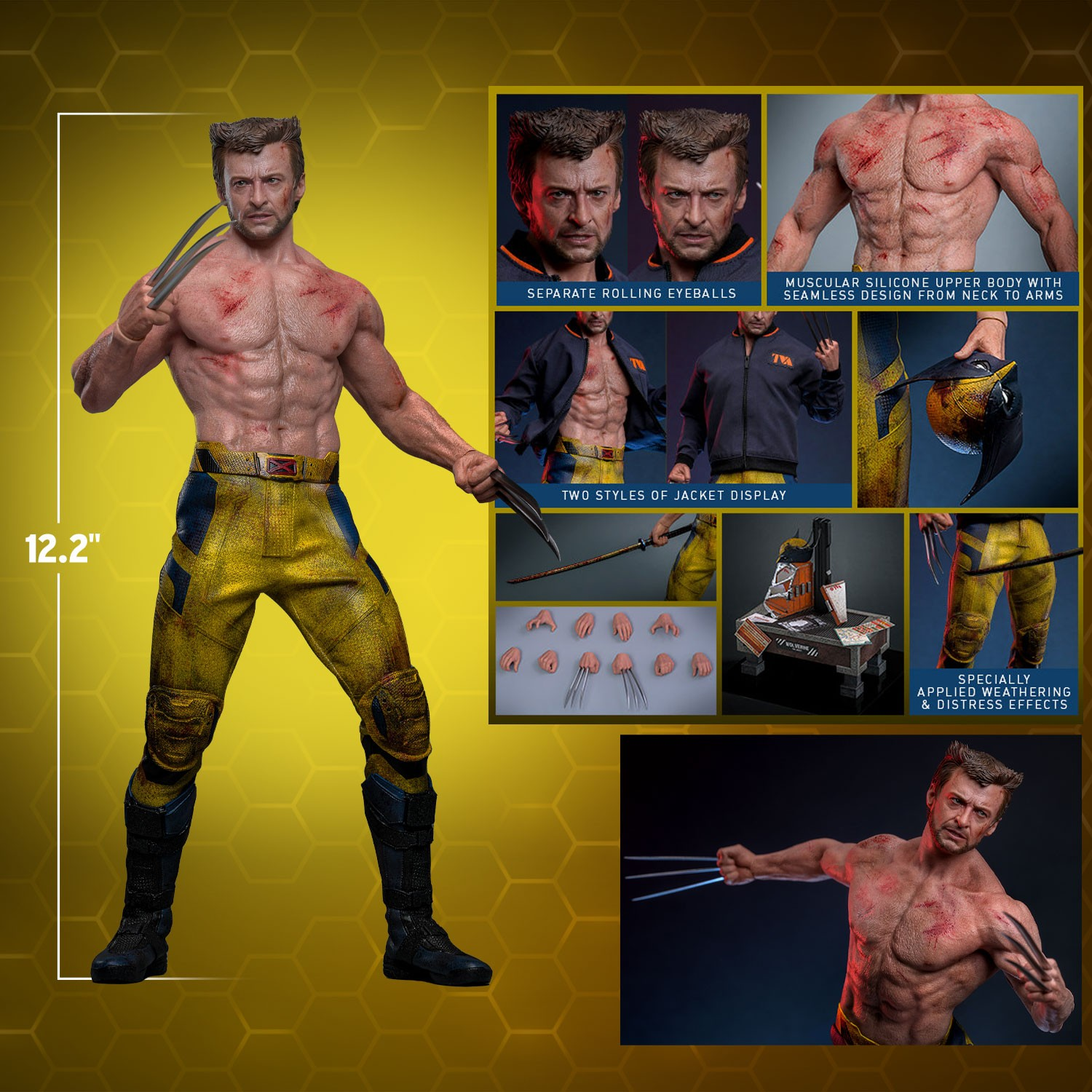 WOLVERINE (TVA JACKET VERSION) Sixth Scale Figure by Hot Toys