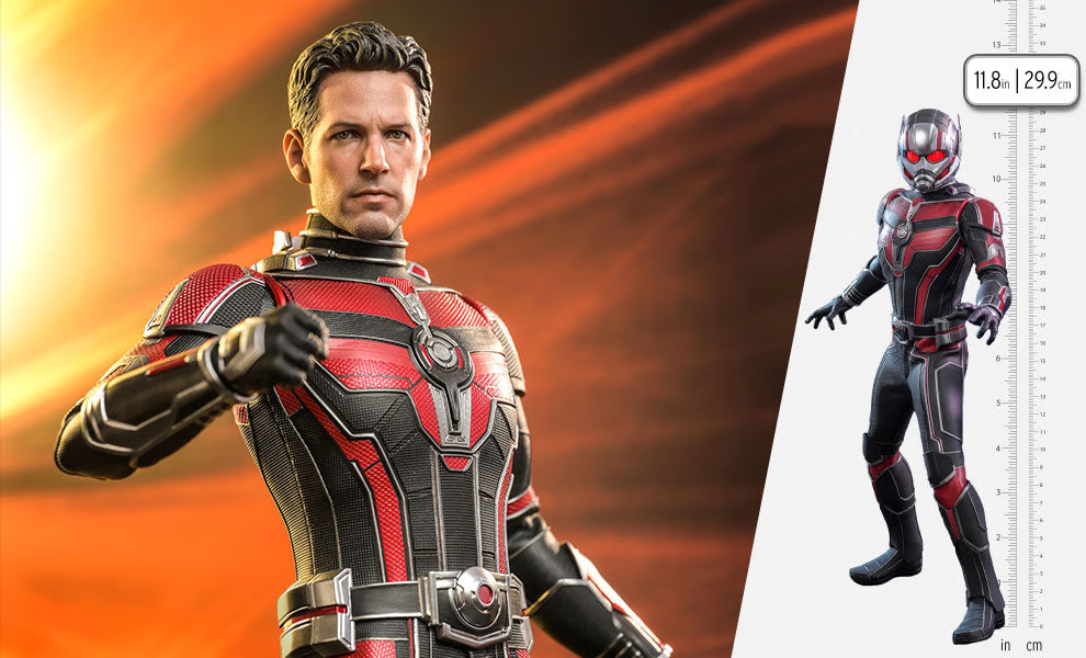 Ant-Man Sixth Scale Figure By Hot Toys
