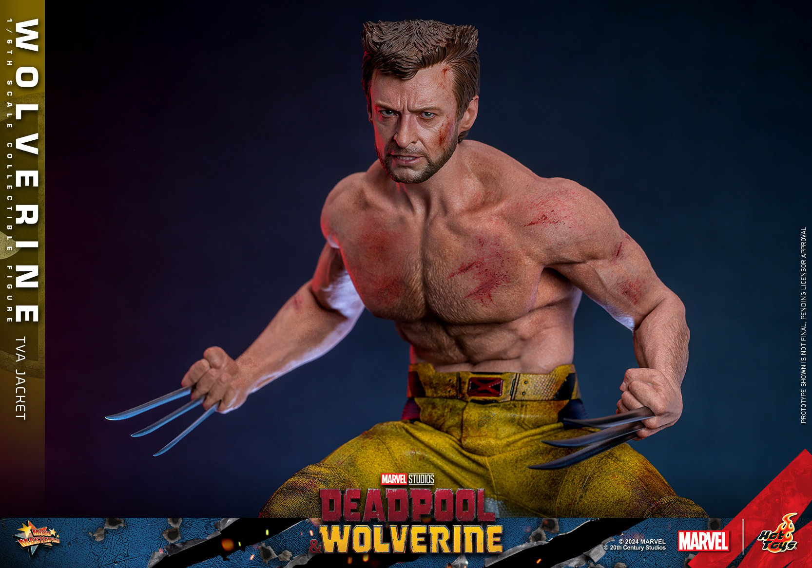 WOLVERINE (TVA JACKET VERSION) Sixth Scale Figure by Hot Toys