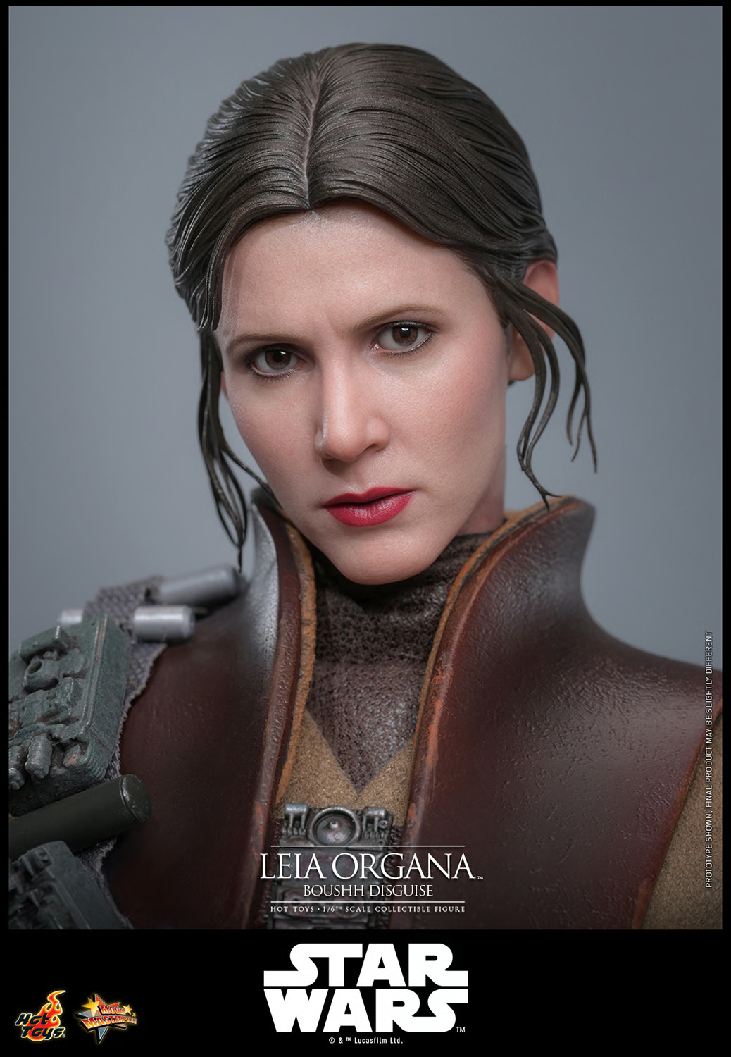 Leia Organa (Boushh Disguise) Sixth Scale Figure by Hot Toys