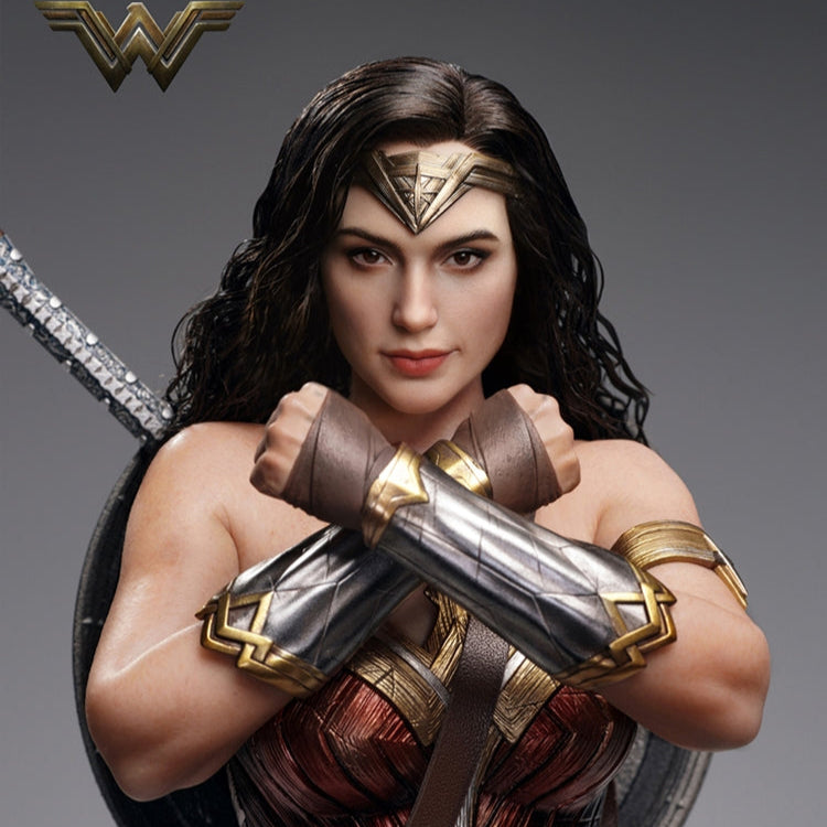 Batman v Superman: Dawn of Justice Wonder Woman 1/6 Collectible Figure By Inart