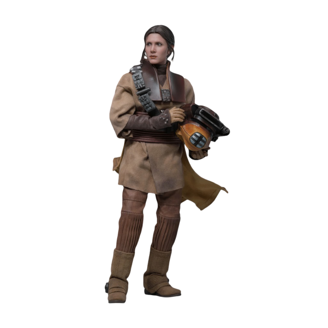 Leia Organa (Boushh Disguise) Sixth Scale Figure by Hot Toys
