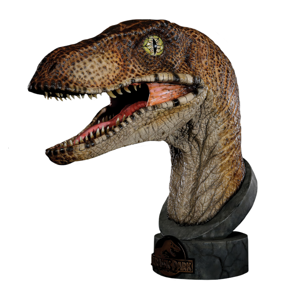 Jurassic Park - Velociraptor 1:1 Scale Life Size Bust by Chronicle Col