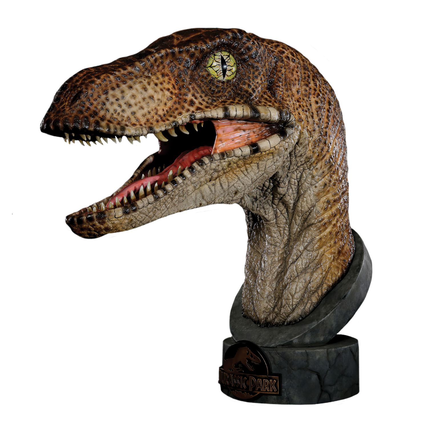 Jurassic Park - Velociraptor 1:1 Scale Life Size Bust by Chronicle Collectibles