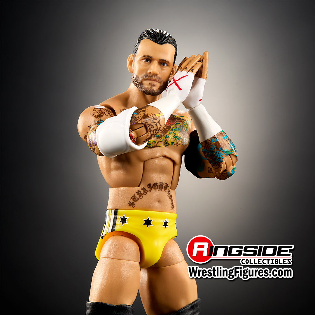 WWE (Pipe Bomb cm Punk) from The Vault Ringside Exclusive Action Figure